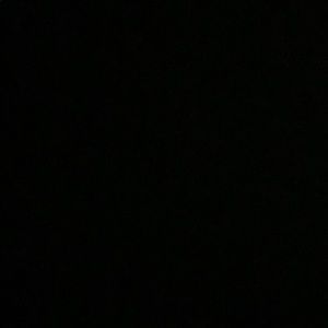 Meet your Posher, Eva grace